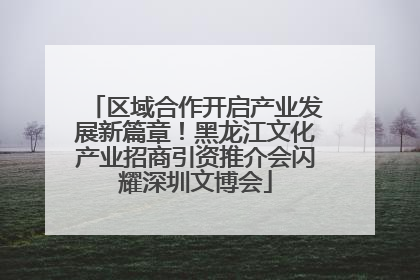 区域合作开启产业发展新篇章！黑龙江文化产业招商引资推介会闪耀深圳文博会