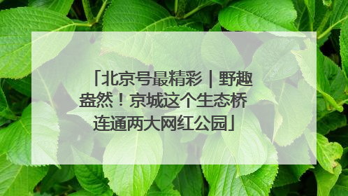 北京号最精彩｜野趣盎然！京城这个生态桥连通两大网红公园