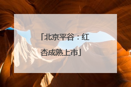 北京平谷：红杏成熟上市
