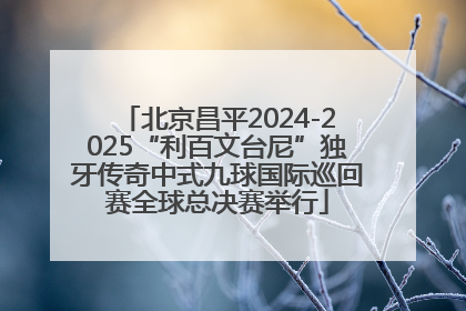北京昌平2024-2025“利百文台尼”独牙传奇中式九球国际巡回赛全球总决赛举行