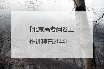 北京高考阅卷工作进程已过半