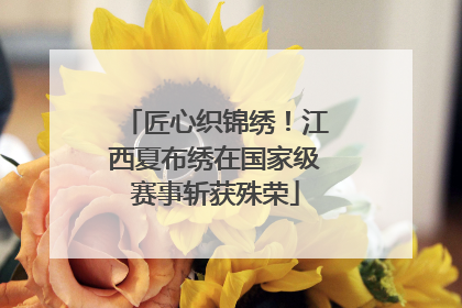 匠心织锦绣！江西夏布绣在国家级赛事斩获殊荣