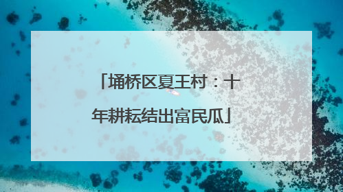 埇桥区夏王村：十年耕耘结出富民瓜