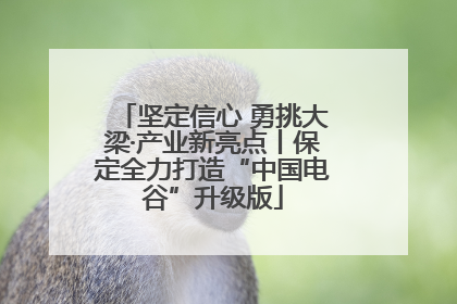 坚定信心 勇挑大梁·产业新亮点丨保定全力打造“中国电谷”升级版