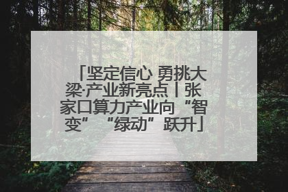 坚定信心 勇挑大梁·产业新亮点丨张家口算力产业向“智变”“绿动”跃升