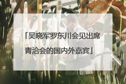吴晓军罗东川会见出席青洽会的国内外嘉宾