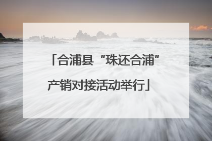 合浦县“珠还合浦”产销对接活动举行
