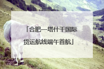合肥—塔什干国际货运航线端午首航