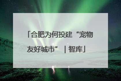 合肥为何投建“宠物友好城市”｜智库