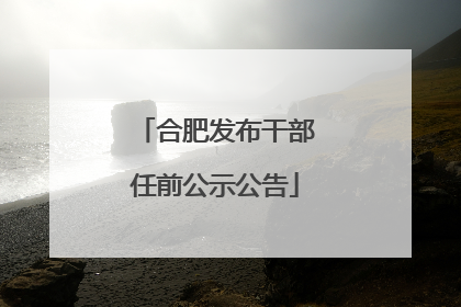 合肥发布干部任前公示公告