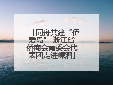 同舟共建“侨爱岛” 浙江省侨商会青委会代表团走进嵊泗