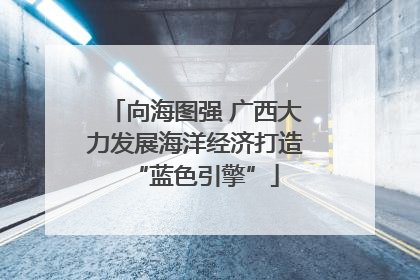 向海图强 广西大力发展海洋经济打造“蓝色引擎”