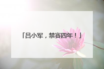 吕小军，禁赛四年！