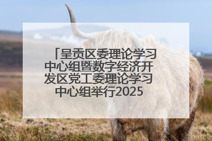 呈贡区委理论学习中心组暨数字经济开发区党工委理论学习中心组举行2025年第七次学习会议