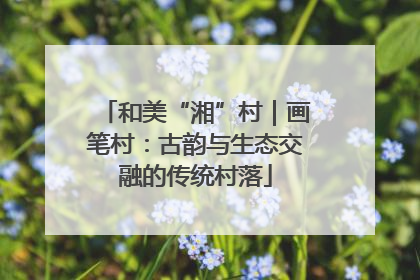 和美“湘”村｜画笔村：古韵与生态交融的传统村落