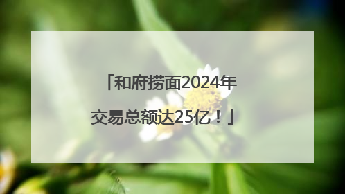 和府捞面2024年交易总额达25亿！