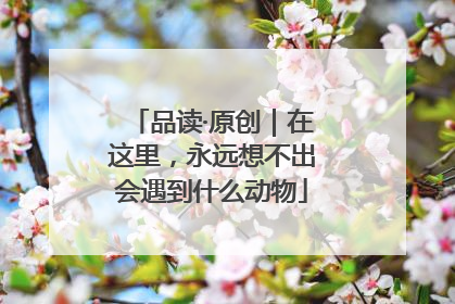 品读·原创｜在这里，永远想不出会遇到什么动物