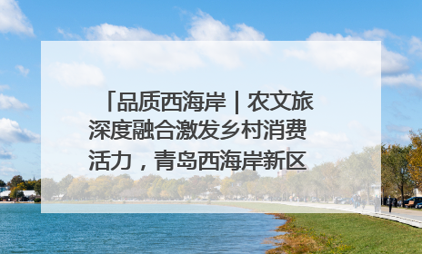 品质西海岸｜农文旅深度融合激发乡村消费活力，青岛西海岸新区的乡村振兴实践