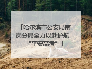 哈尔滨市公安局南岗分局全力以赴护航“平安高考”