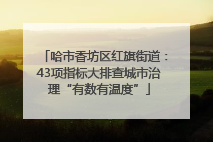 哈市香坊区红旗街道：43项指标大排查城市治理“有数有温度”