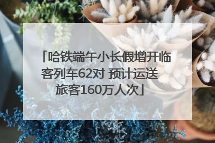 哈铁端午小长假增开临客列车62对 预计运送旅客160万人次