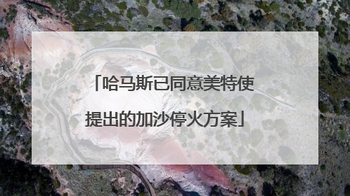 哈马斯已同意美特使提出的加沙停火方案