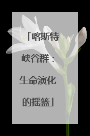 喀斯特峡谷群：生命演化的摇篮