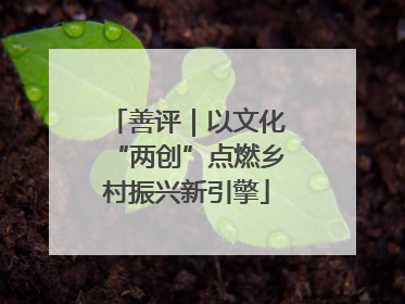善评｜以文化“两创”点燃乡村振兴新引擎