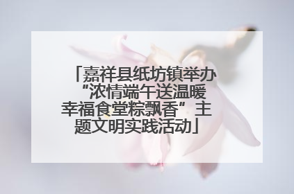 嘉祥县纸坊镇举办“浓情端午送温暖 幸福食堂粽飘香”主题文明实践活动