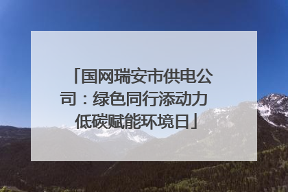 国网瑞安市供电公司：绿色同行添动力 低碳赋能环境日