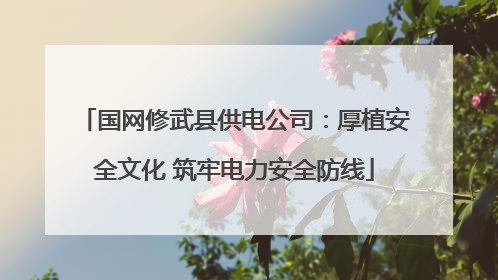 国网修武县供电公司：厚植安全文化 筑牢电力安全防线