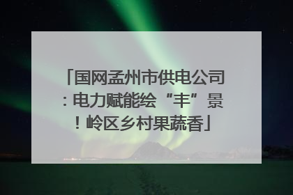 国网孟州市供电公司：电力赋能绘“丰”景！岭区乡村果蔬香