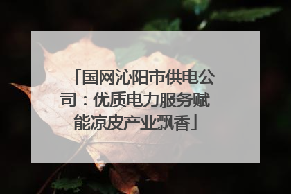 国网沁阳市供电公司：优质电力服务赋能凉皮产业飘香