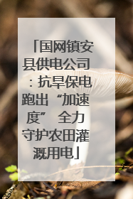 国网镇安县供电公司：抗旱保电跑出“加速度” 全力守护农田灌溉用电