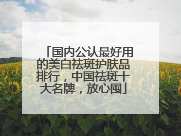 国内公认最好用的美白祛斑护肤品排行，中国祛斑十大名牌，放心囤