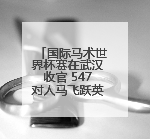 国际马术世界杯赛在武汉收官 547对人马飞跃英雄城