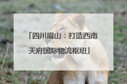 四川眉山：打造西南天府国际物流枢纽