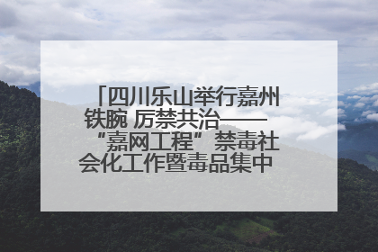 四川乐山举行嘉州铁腕 厉禁共治——“嘉网工程”禁毒社会化工作暨毒品集中销毁启动仪式