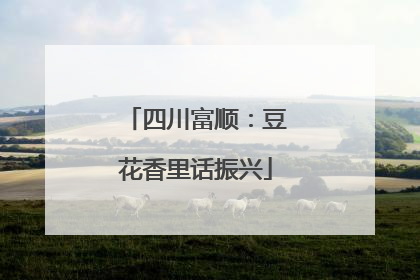 四川富顺：豆花香里话振兴