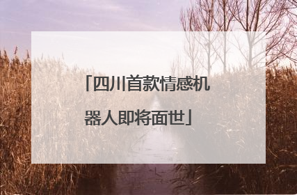 四川首款情感机器人即将面世