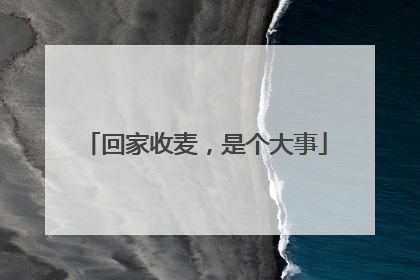 回家收麦，是个大事