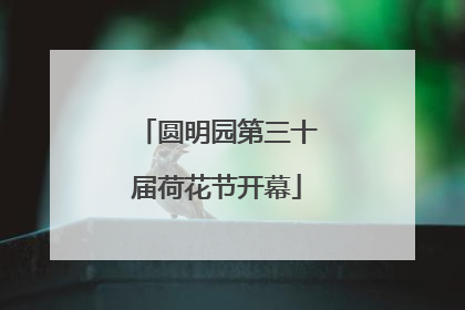 圆明园第三十届荷花节开幕