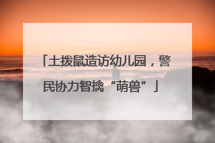 土拨鼠造访幼儿园，警民协力智擒“萌兽”