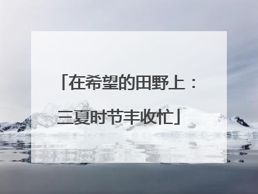 在希望的田野上：三夏时节丰收忙