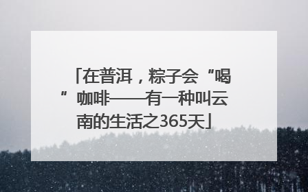 在普洱，粽子会“喝”咖啡——有一种叫云南的生活之365天