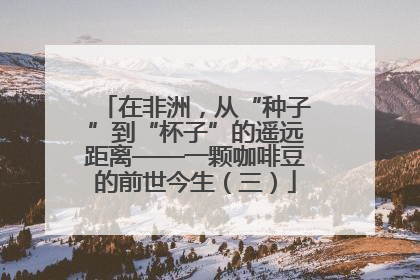 在非洲，从“种子”到“杯子”的遥远距离——一颗咖啡豆的前世今生（三）