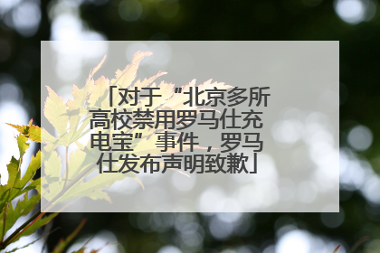 对于“北京多所高校禁用罗马仕充电宝”事件，罗马仕发布声明致歉
