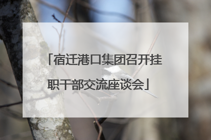 宿迁港口集团召开挂职干部交流座谈会