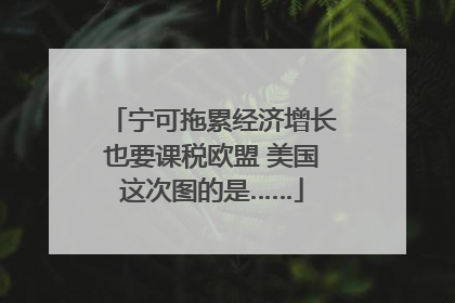 宁可拖累经济增长也要课税欧盟 美国这次图的是……