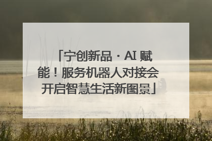 宁创新品・AI 赋能！服务机器人对接会开启智慧生活新图景